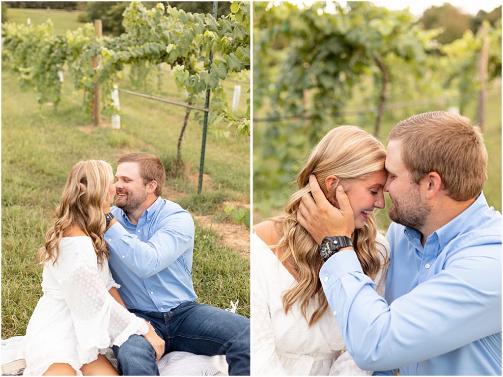 Collage of Remington and Jackson nuzzling between the rows of the vineyard during a Springdale AR Engagement session 